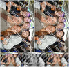 Evenement foto: 1389