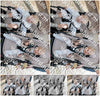 Evenement foto: Volendam serie 74