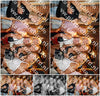Evenement foto: 1326