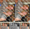Evenement foto: 1340