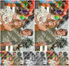 Evenement foto: 1341