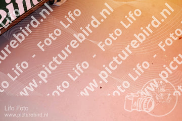 Evenement foto: 1287