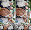 Evenement foto: 1327