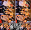 Evenement foto: 1429