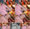 Evenement foto: 1429