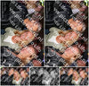 Evenement foto: 1439