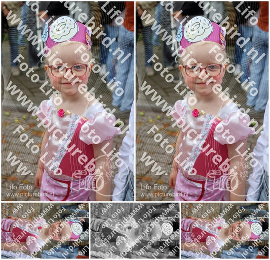 Evenement foto: 1441