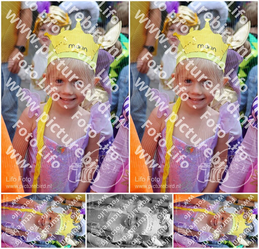 Evenement foto: 1441
