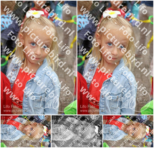 Evenement foto: 1441