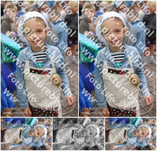 Evenement foto: 1441