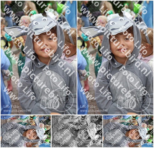 Evenement foto: 1441