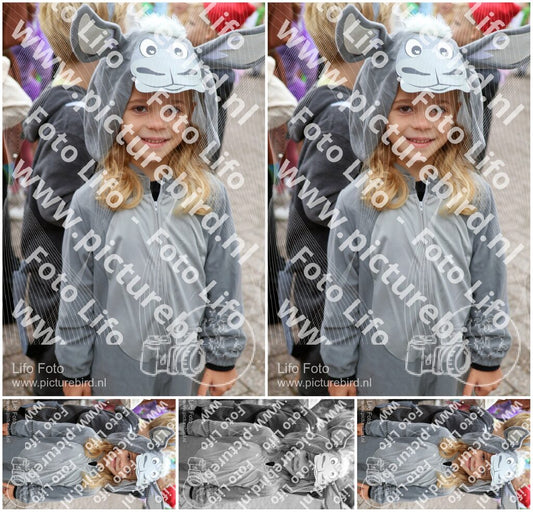 Evenement foto: 1441