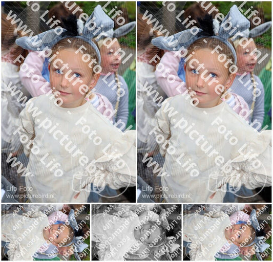 Evenement foto: 1441
