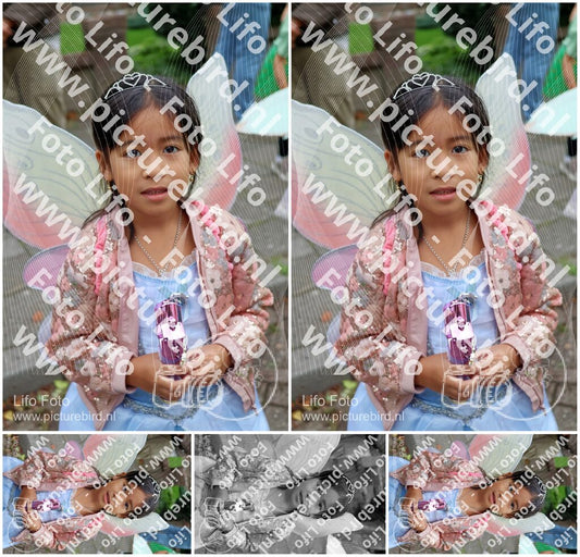 Evenement foto: 1441