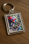 Evenement foto: 1443