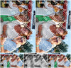 Evenement foto: Serie 2570