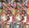 Evenement foto: Serie 2570