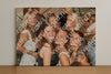 Evenement foto: Serie 2570