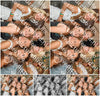 Evenement foto: Serie 2570