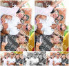 Evenement foto: Serie 2571