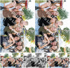Evenement foto: Serie 2571