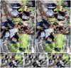 Evenement foto: 103