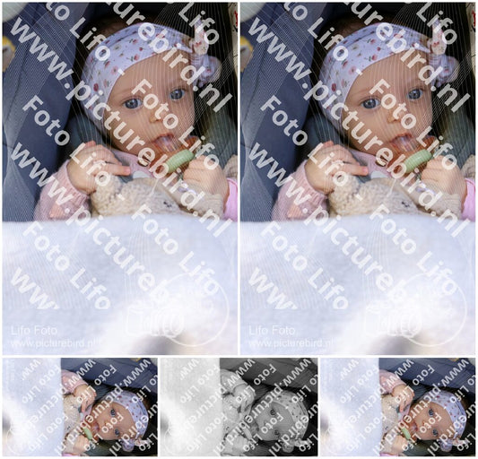 Evenement foto: 106