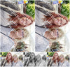 Evenement foto: 107