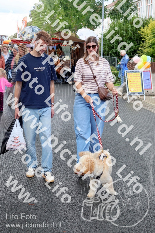 Evenement foto: 108