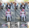 Evenement foto: 110