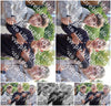 Evenement foto: 112