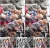Evenement foto: Bodegraven 12