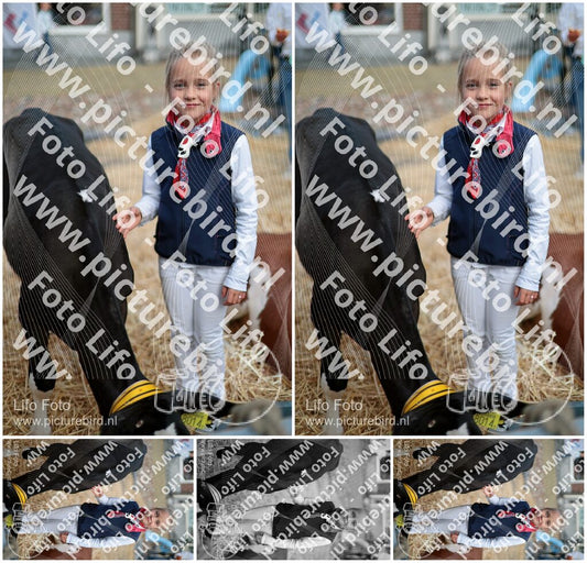 Evenement foto: Serie 3037