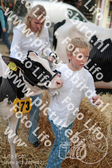 Evenement foto: Serie 3037