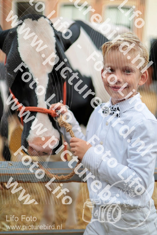 Evenement foto: Serie 3037