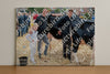 Evenement foto: Serie 3037