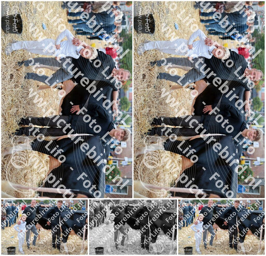 Evenement foto: Serie 3037