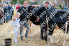 Evenement foto: Serie 3037