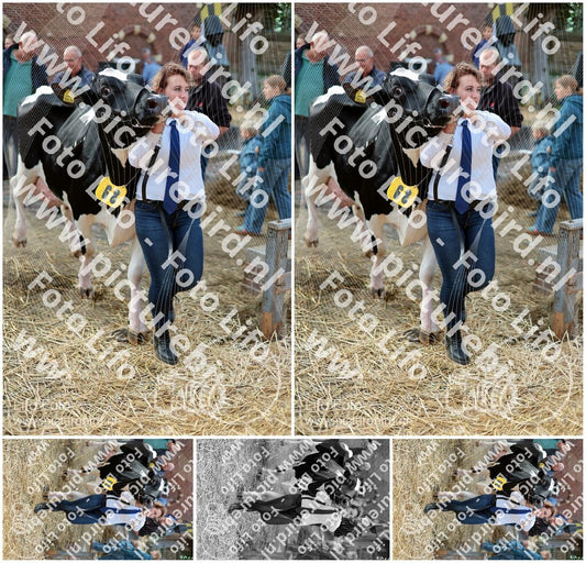 Evenement foto: Serie 3037