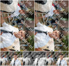 Evenement foto: Serie 3037