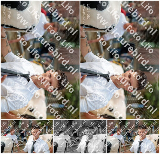 Evenement foto: Serie 3037