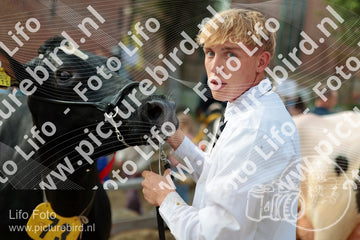 Evenement foto: Serie 3037