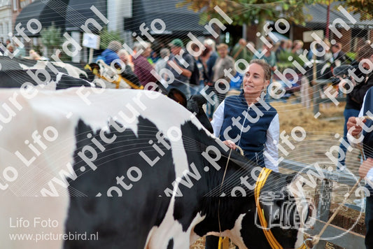 Evenement foto: Serie 3037