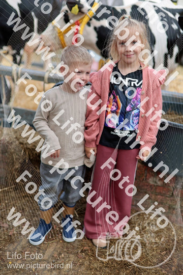 Evenement foto: Serie 3037