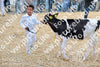 Evenement foto: Serie 3038