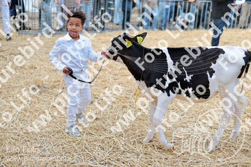 Evenement foto: Serie 3038
