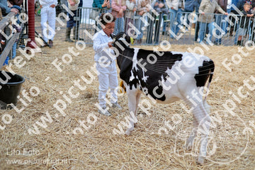 Evenement foto: Serie 3038