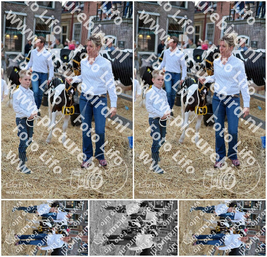 Evenement foto: Serie 3038