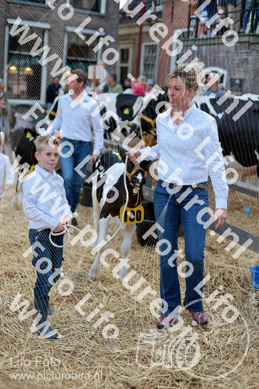 Evenement foto: Serie 3038