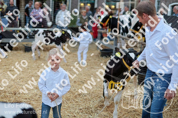 Evenement foto: Serie 3038